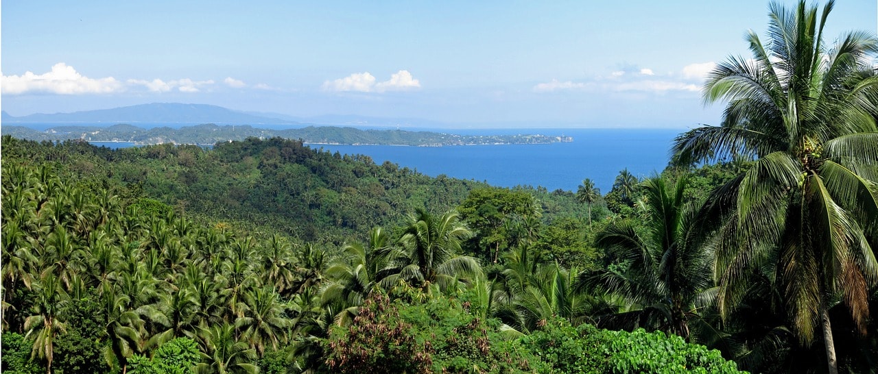 Un vol Philippines pas cher avec Algofly illustré par une végétation luxuriante donnant sur la mer.