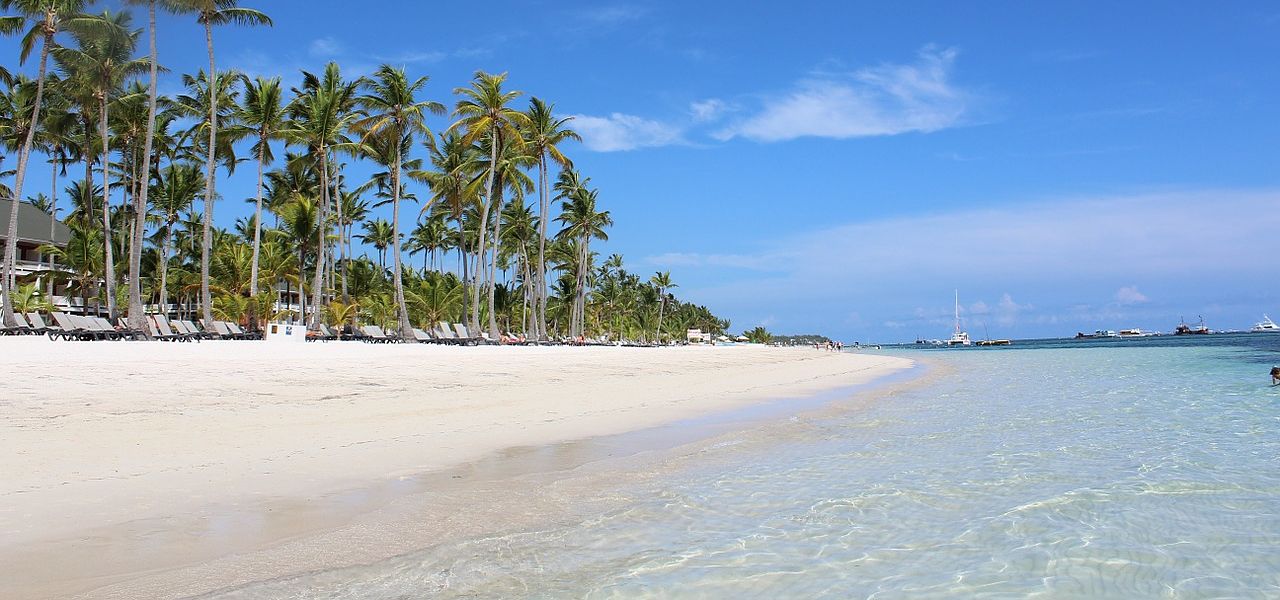 Un vol Punta Cana pas cher avec Algofly illustré par des palmiers sur une plage de sable blanc et une mer transparente.