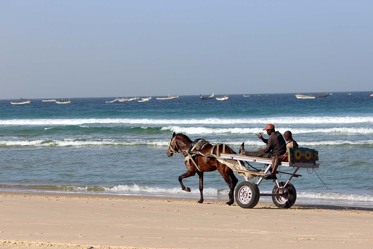 Un vol Sénégal pas cher avec Algofly illustré par une charrette tirée par un cheval trottant sur la plage.