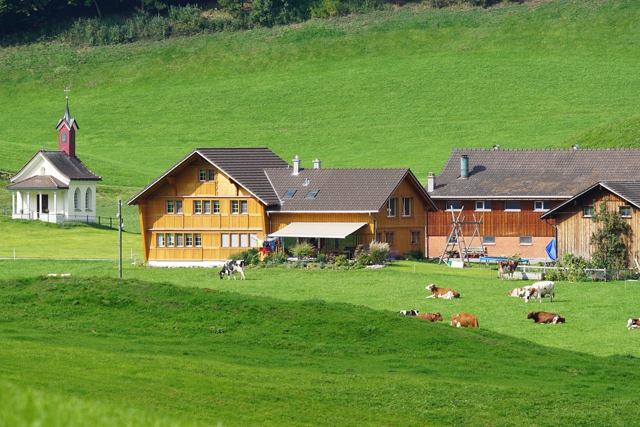 Un vol Suisse pas cher avec Algofly illustré par deux chalets sur une colline d'herbe verte.