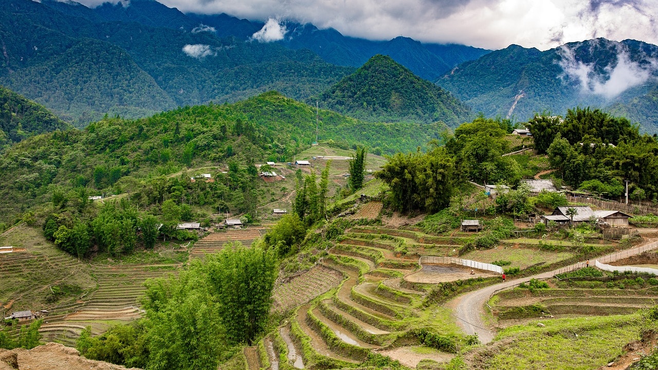 Un vol Vietnam pas cher avec Algofly illustré par des rizières étalées à travers collines. 