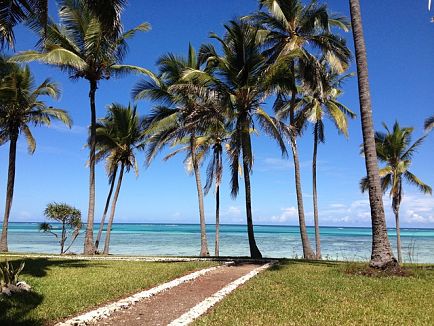 Détendez-vous au bord de l'eau turquoise sous les cocotiers avec un billet d'avion pour Zanzibar.